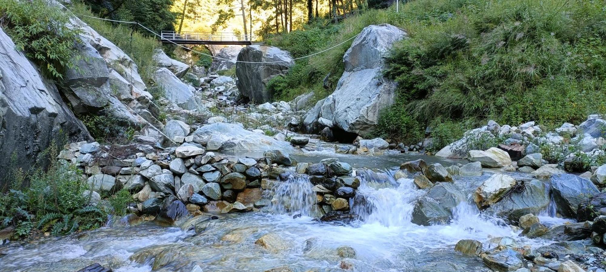 Dog N Hill Hotel Kasol Buitenkant foto