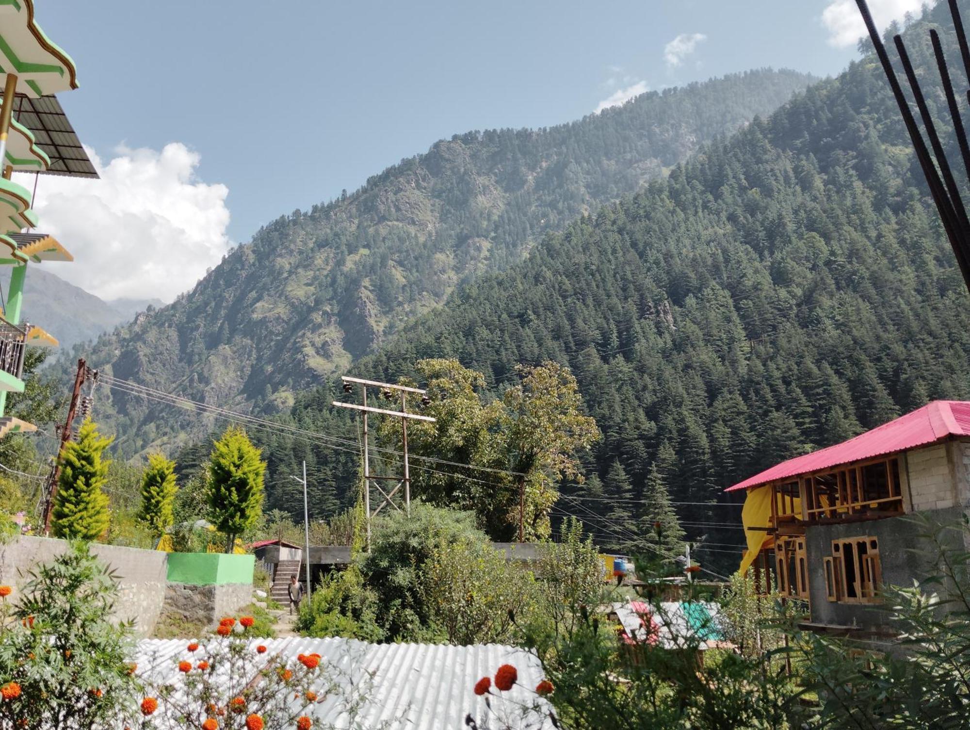 Dog N Hill Hotel Kasol Buitenkant foto