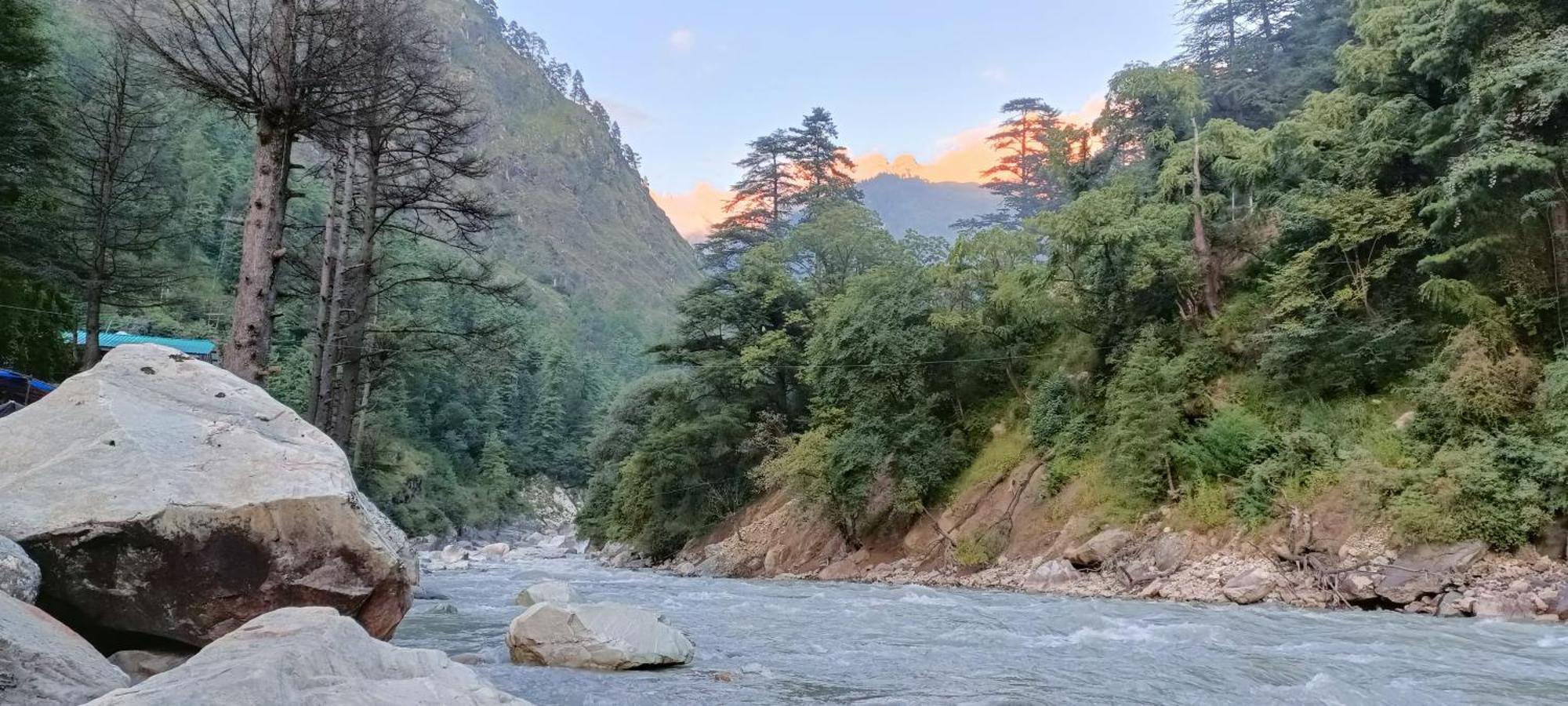 Dog N Hill Hotel Kasol Buitenkant foto