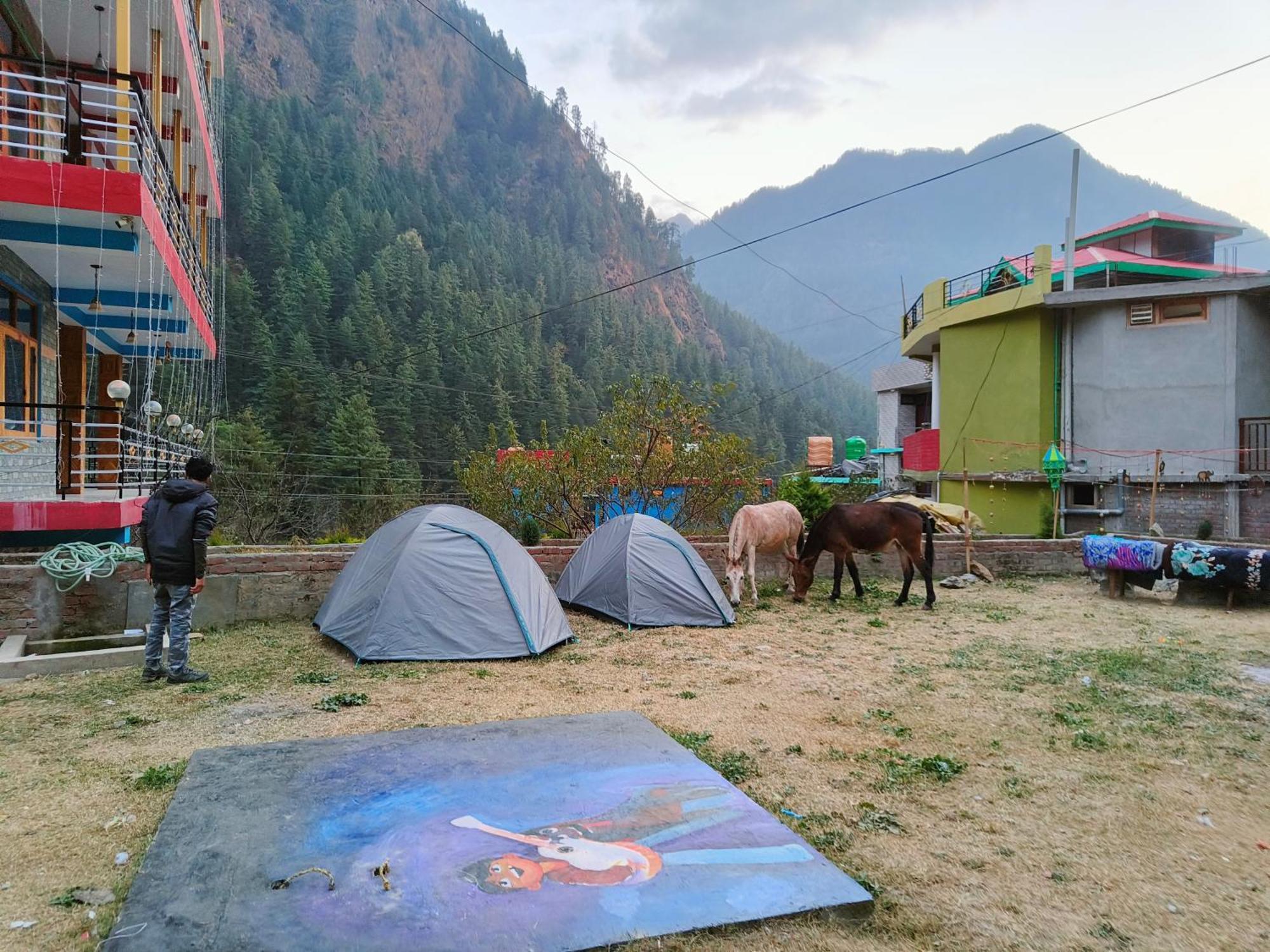 Dog N Hill Hotel Kasol Buitenkant foto